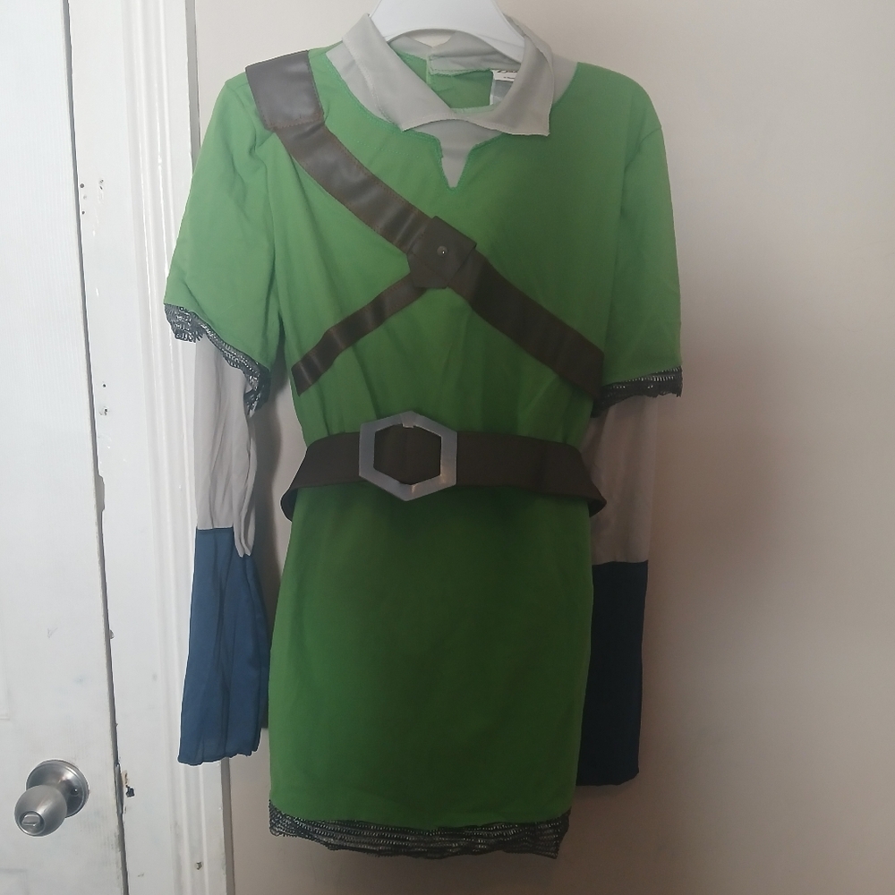 Disguise Link Costume